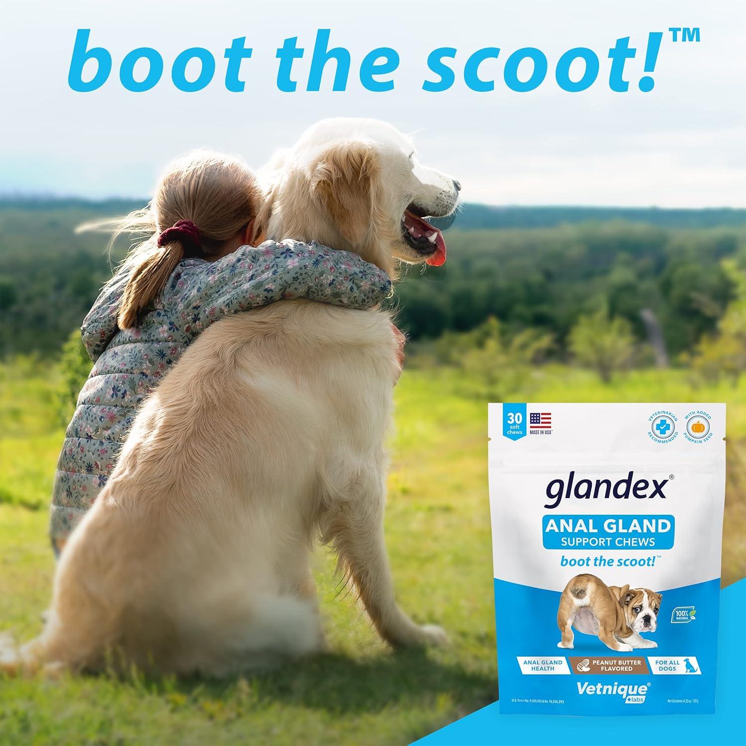 imageDermabliss Allergy Chews 30 Ct and Glandex Anal Gland Support Chews 30 Ct Bundle Dog Vitamins ampamp Supplements Anal Gland Dog Treats with Probiotics Dog Allergies Skin Treatment Soft Chew