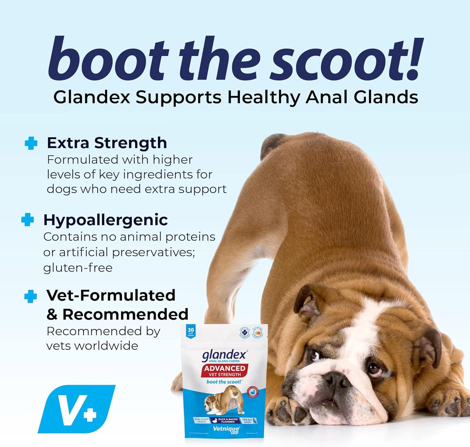 imageGlandex Anal Gland Hygienic Pet Wipes 100 Ct Advanced VetStrength Chews 30 Ct Bundle Dog Cleaning Wipes with Fresh Scent VetStrength Anal Gland Supplement for Dogs with Extra Fiber