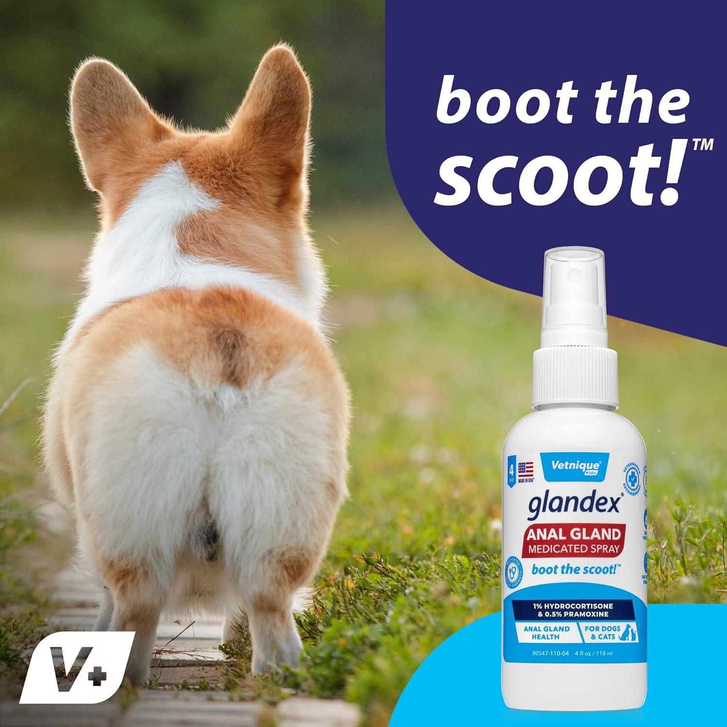 imageGlandex Anal Gland Medicated Spray for Dogs ampamp Cats 4oz and Glandex Anal Gland Support Chews 30 Ct Bundle Dog Deodorizing ampamp AntiItch for Dogs Anal Gland Treats with Probiotics