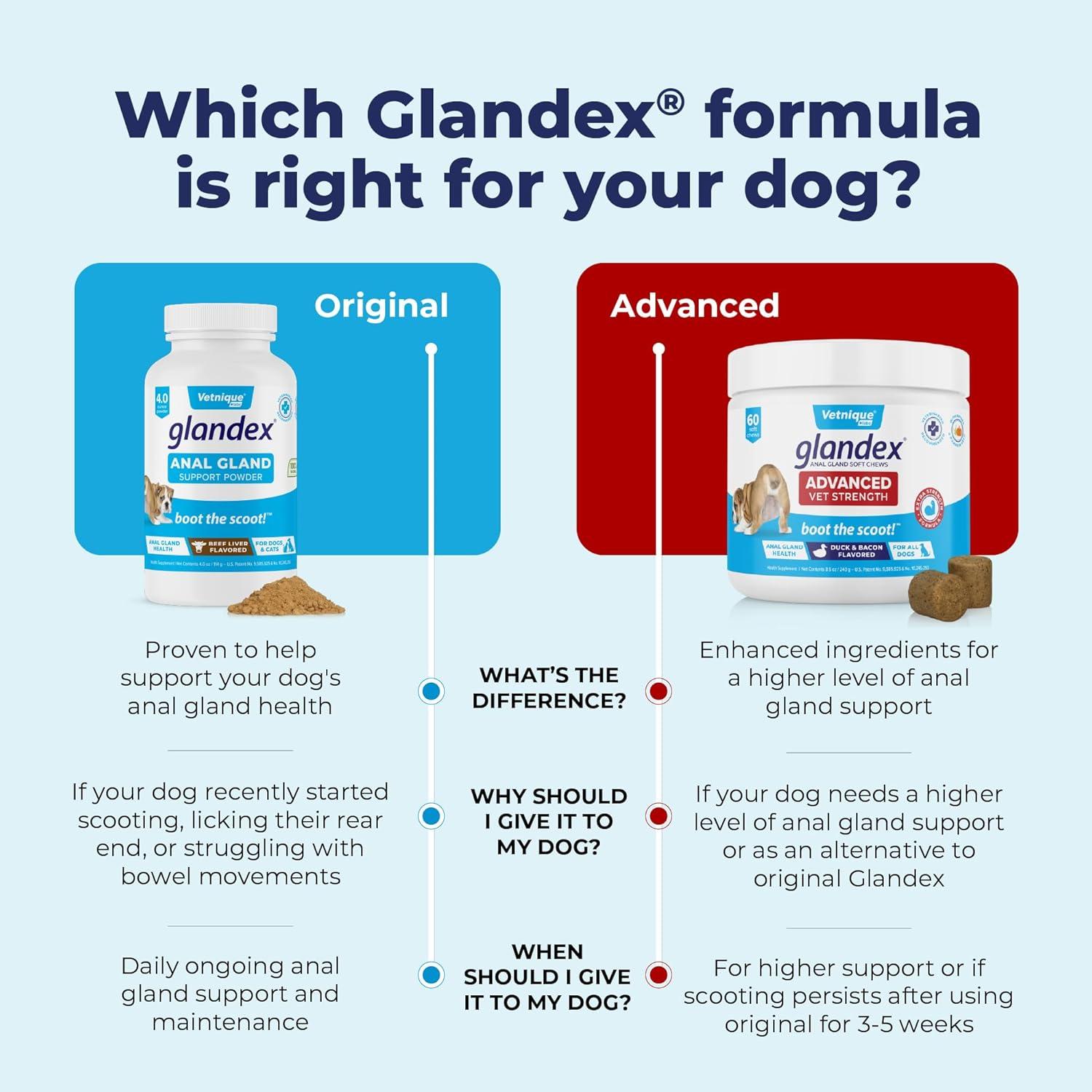 imageGlandex Dog Fiber Supplement Powder for Anal Glands with Pumpkin Digestive Enzymes ampamp Probiotics  Vet Recommended Regular or Advanced Strength  Boot The Scoot 55 oz Vegan SalmonVegan Salmon
