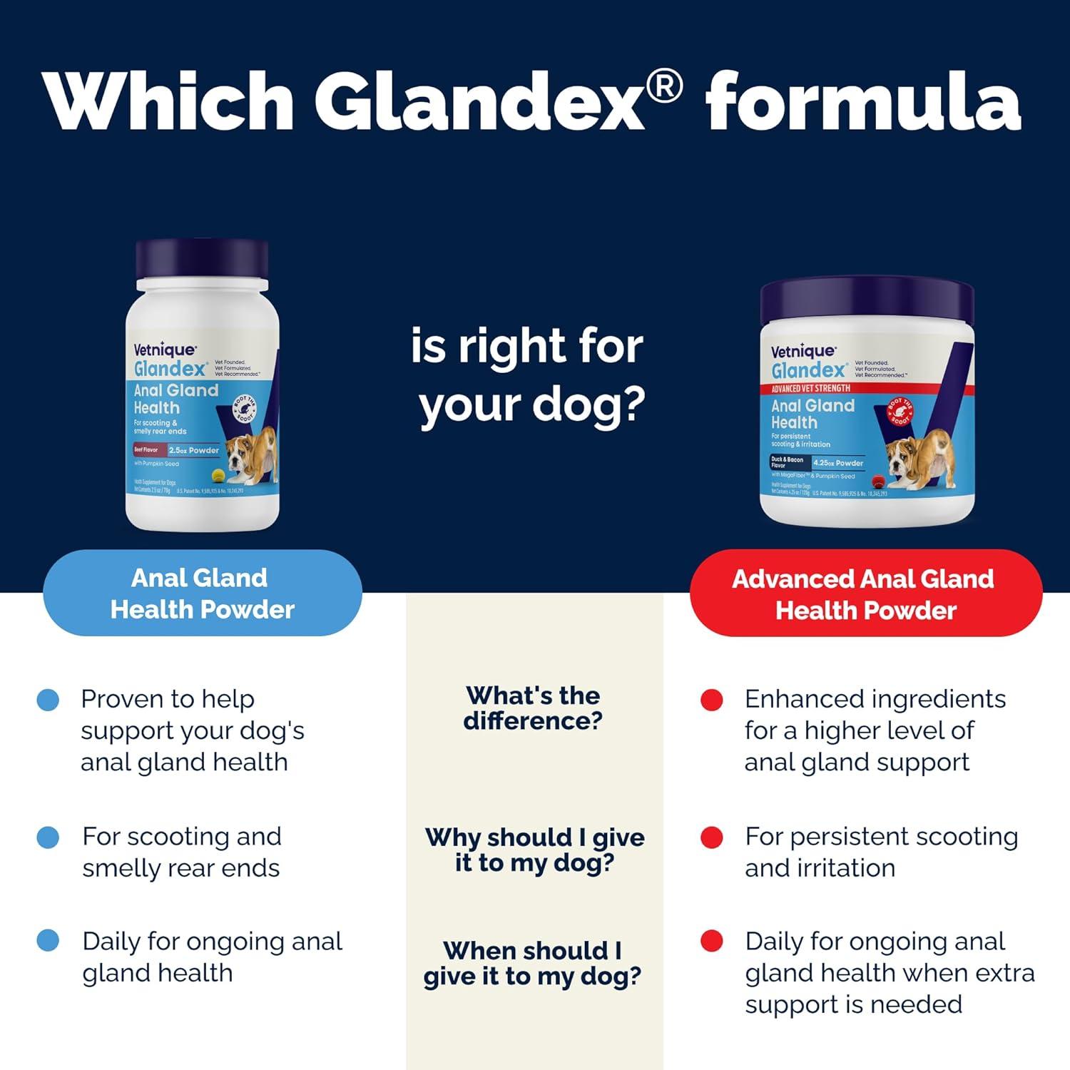imageGlandex Dog Fiber Supplement Powder for Anal Glands with Pumpkin Digestive Enzymes ampamp Probiotics  Vet Recommended Regular or Advanced Strength  Boot The Scoot 55 oz Vegan SalmonAdvanced Strength Duck  Bacon