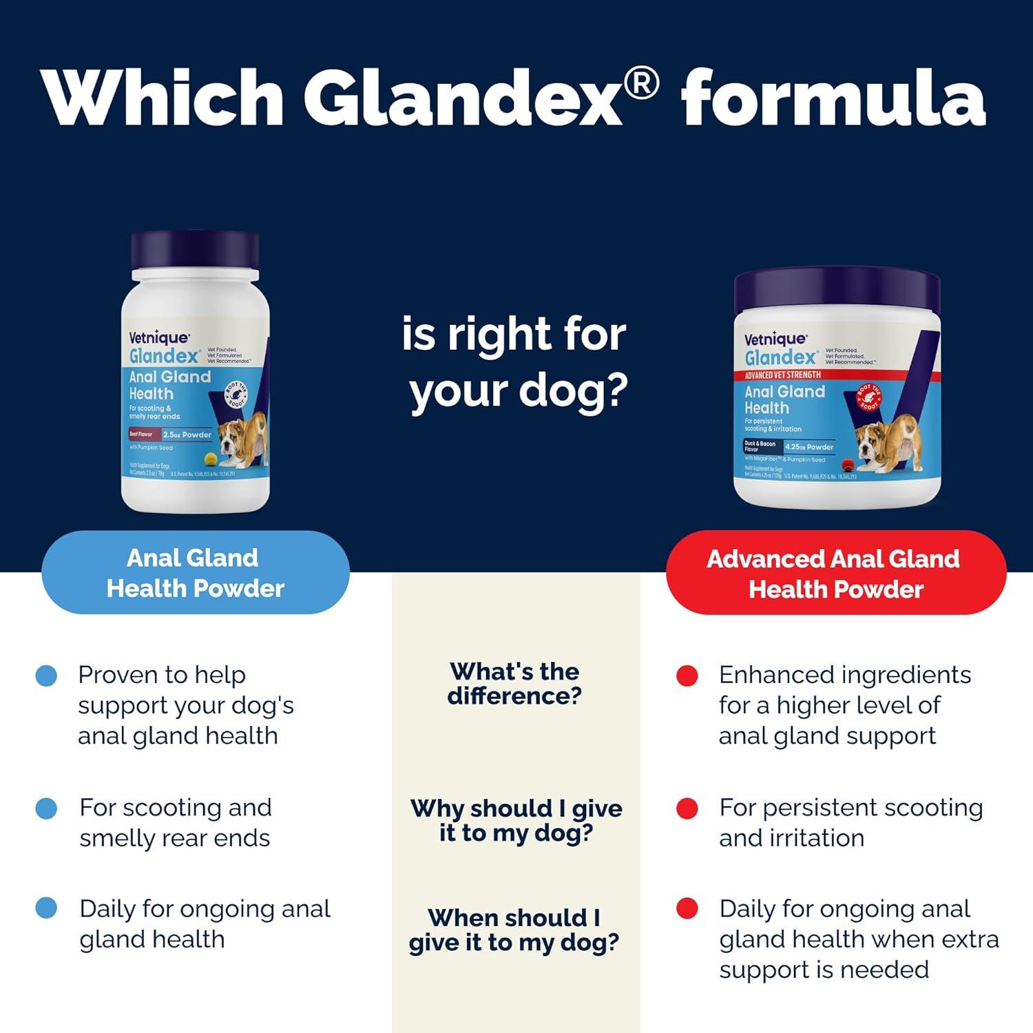 imageGlandex Dog Fiber Supplement Powder for Anal Glands with Pumpkin Digestive Enzymes ampamp Probiotics  Vet Recommended Regular or Advanced Strength  Boot The Scoot 55 oz Vegan SalmonBeef Liver