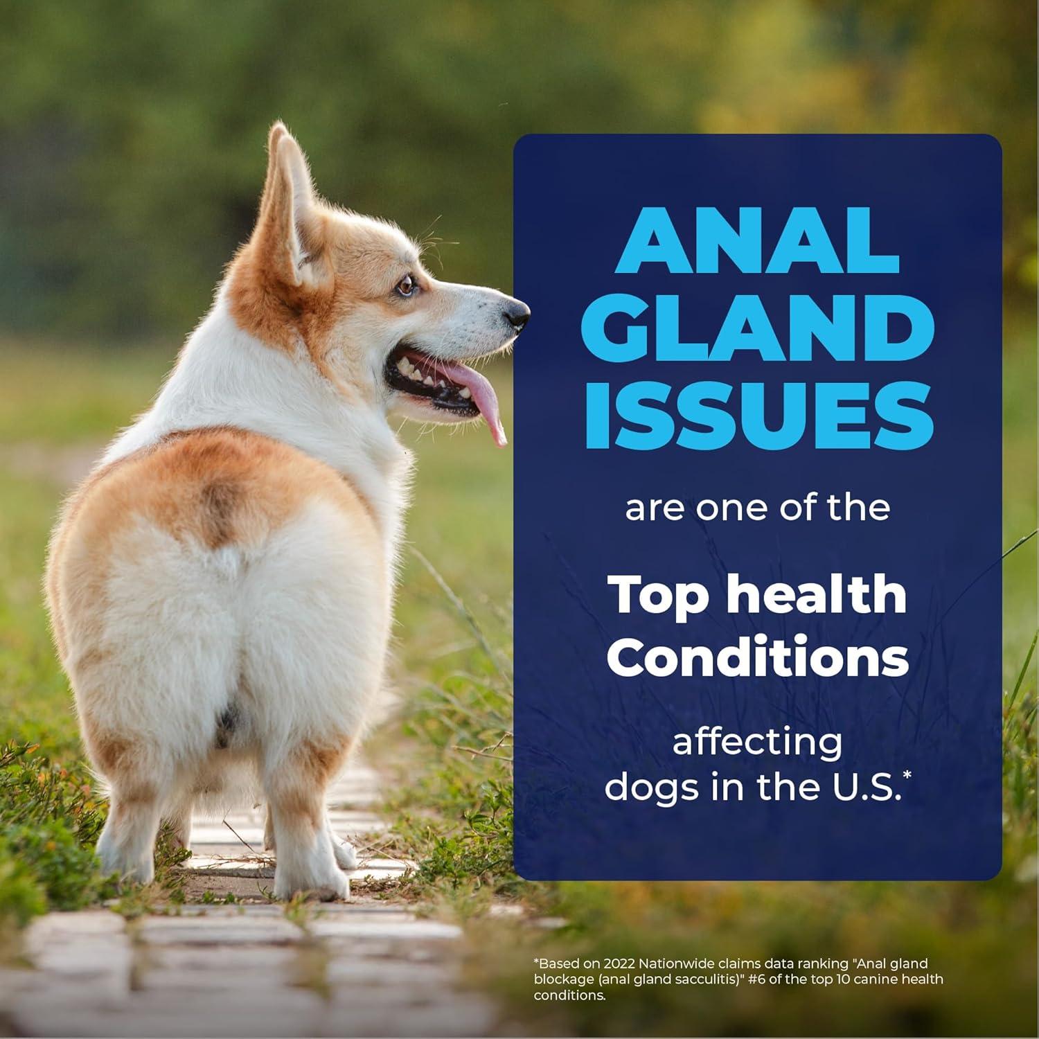 imageGlandex for Dogs Medicated Anal Gland Wipes 50ct ampamp Glandex Advanced VetStrength Anal Gland Supplement Chews 120ct Duck ampamp Bacon Flavor Bundle MaximumStrength Anal Gland Care for Dogs