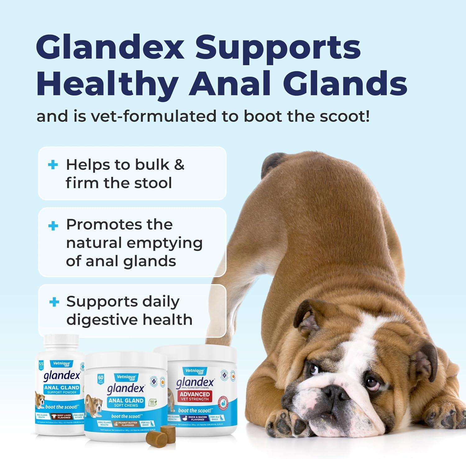 imageGlandex for Dogs Medicated Anal Gland Wipes 50ct ampamp Glandex Advanced VetStrength Anal Gland Supplement Chews 120ct Duck ampamp Bacon Flavor Bundle MaximumStrength Anal Gland Care for Dogs