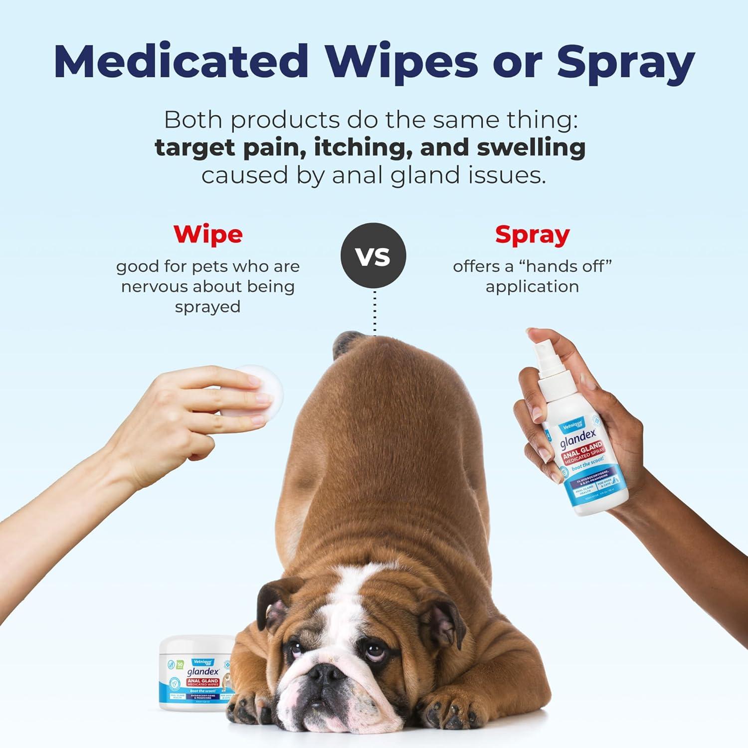 imageGlandex for Dogs Medicated Anal Gland Wipes 50ct ampamp Glandex Advanced VetStrength Anal Gland Supplement Chews 120ct Duck ampamp Bacon Flavor Bundle MaximumStrength Anal Gland Care for Dogs