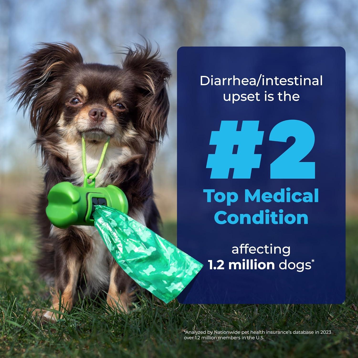 imageGlandex for Dogs Medicated Anal Gland Wipes 50ct ampamp Glandex Advanced VetStrength Anal Gland Supplement Chews 120ct Duck ampamp Bacon Flavor Bundle MaximumStrength Anal Gland Care for Dogs
