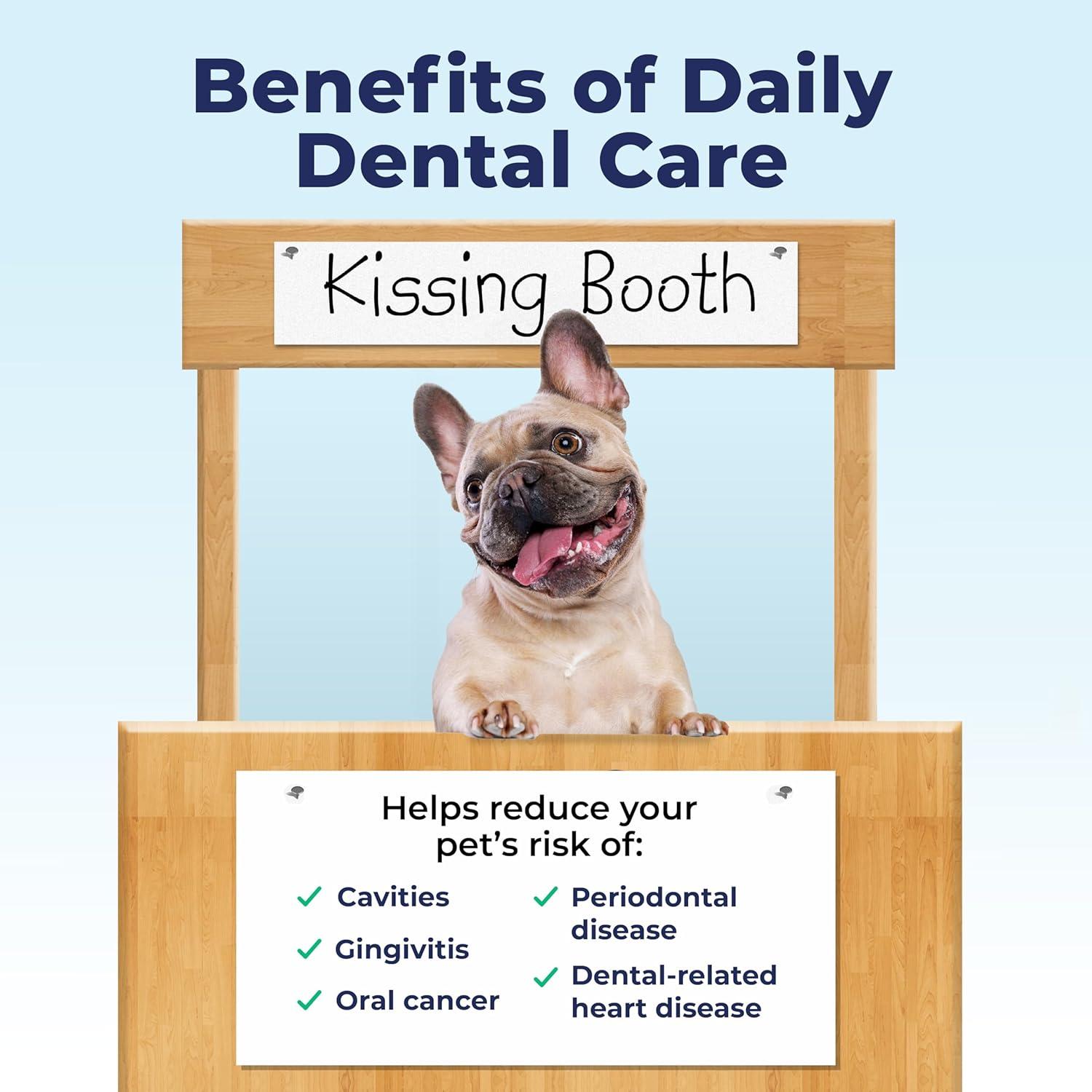 imageVetnique Dentabliss  Dog Teeth Cleaning Finger Mitt Dental Wipe  Dog Plaque ampamp Tartar Prevention with Brushing Beads  Flavored Dog Teeth Wipes Dog Breath Freshener ChickenChicken