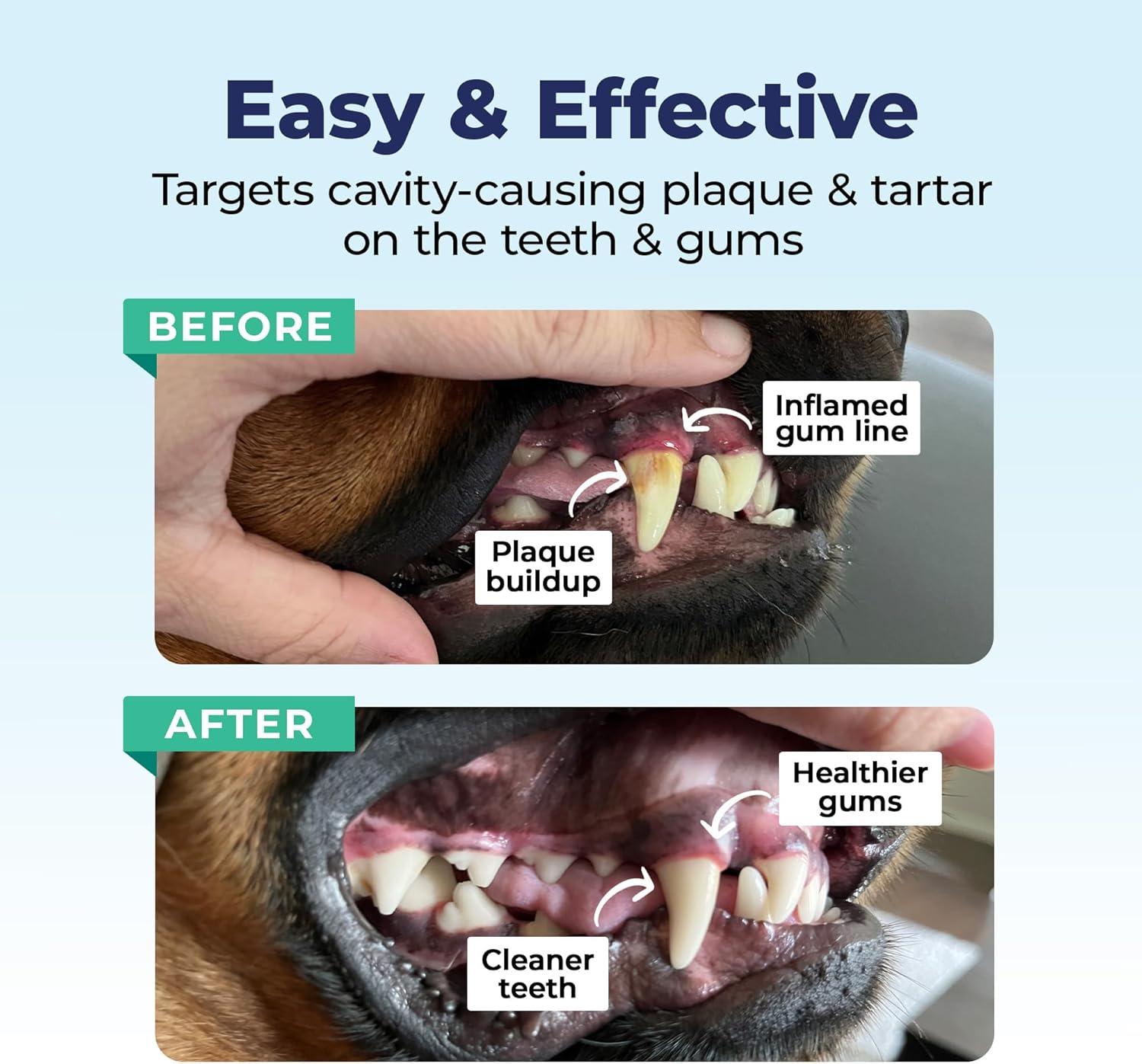 imageVetnique Dentabliss  Dog Teeth Cleaning Finger Mitt Dental Wipe  Dog Plaque ampamp Tartar Prevention with Brushing Beads  Flavored Dog Teeth Wipes Dog Breath Freshener ChickenChicken