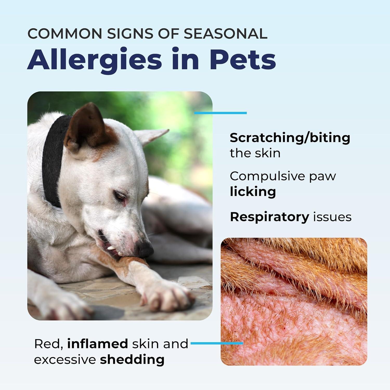 imageVetnique Dermabliss 3in1 Medicated Dog Wipes  Relief for Itchy Skin Allergies ampamp Odor Control Gentle NoSting Formula Antihistamine ampamp Hydrocortisone Paw Wipes for Dogs ampamp Cats 50 Count