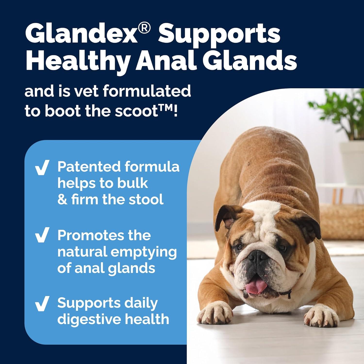 imageVetnique Glandex Anal Gland Soft Chew Treats with Pumpkin for Dogs Digestive Enzymes Probiotics Fiber Supplement for Dogs Boot The Scoot Advanced Strength DuckBacon Chews Veg 30 CountAdvanced Strength DuckBacon Chews Vegetarian