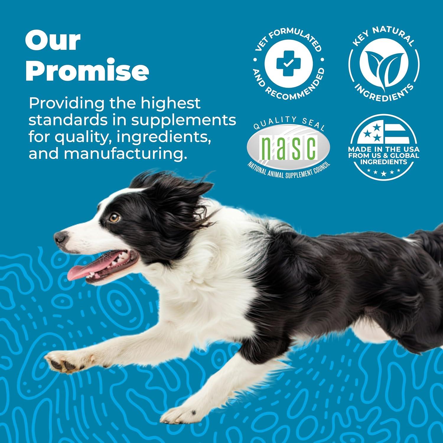 imageVetnique Glandex Daily Probiotics for Dogs with Prebiotics to Support Gut Health with Fiber and Digestive Enzymes Probiotic Chews or Powders 120ct Chews Bacon ChewsBacon Chews