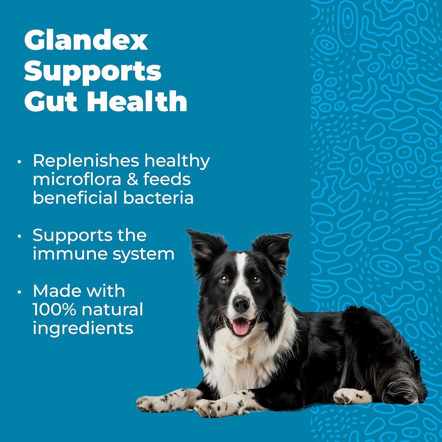 imageVetnique Glandex Daily Probiotics for Dogs with Prebiotics to Support Gut Health with Fiber and Digestive Enzymes Probiotic Chews or Powders 120ct Chews Bacon ChewsBacon Chews