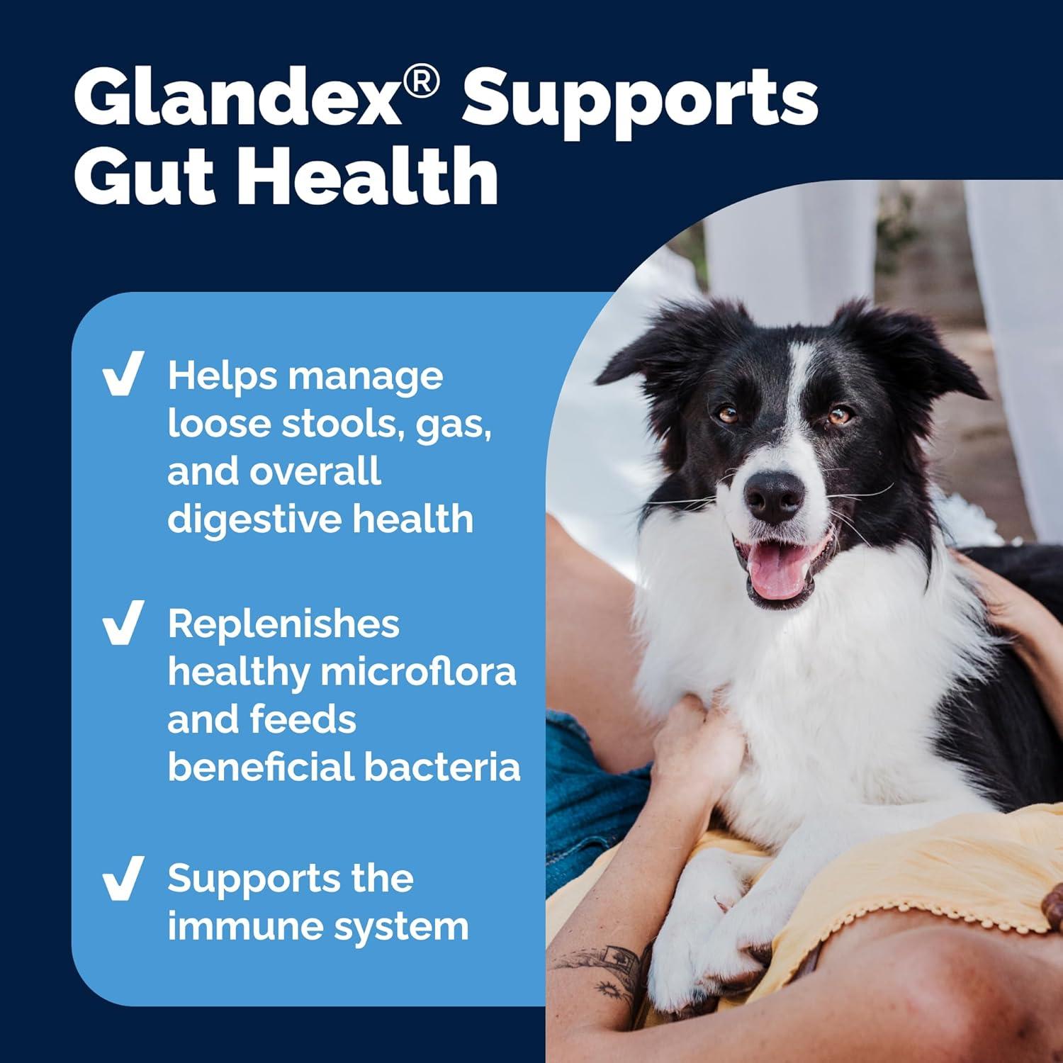 imageVetnique Glandex Daily Probiotics for Dogs with Prebiotics to Support Gut Health with Fiber and Digestive Enzymes Probiotic Chews or Powders 120ct Chews Bacon ChewsPork Powder