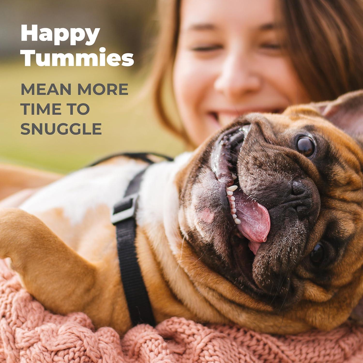 imageVetnique Glandex Daily Probiotics for Dogs with Prebiotics to Support Gut Health with Fiber and Digestive Enzymes Probiotic Chews or Powders 120ct Chews Bacon ChewsBacon Chews
