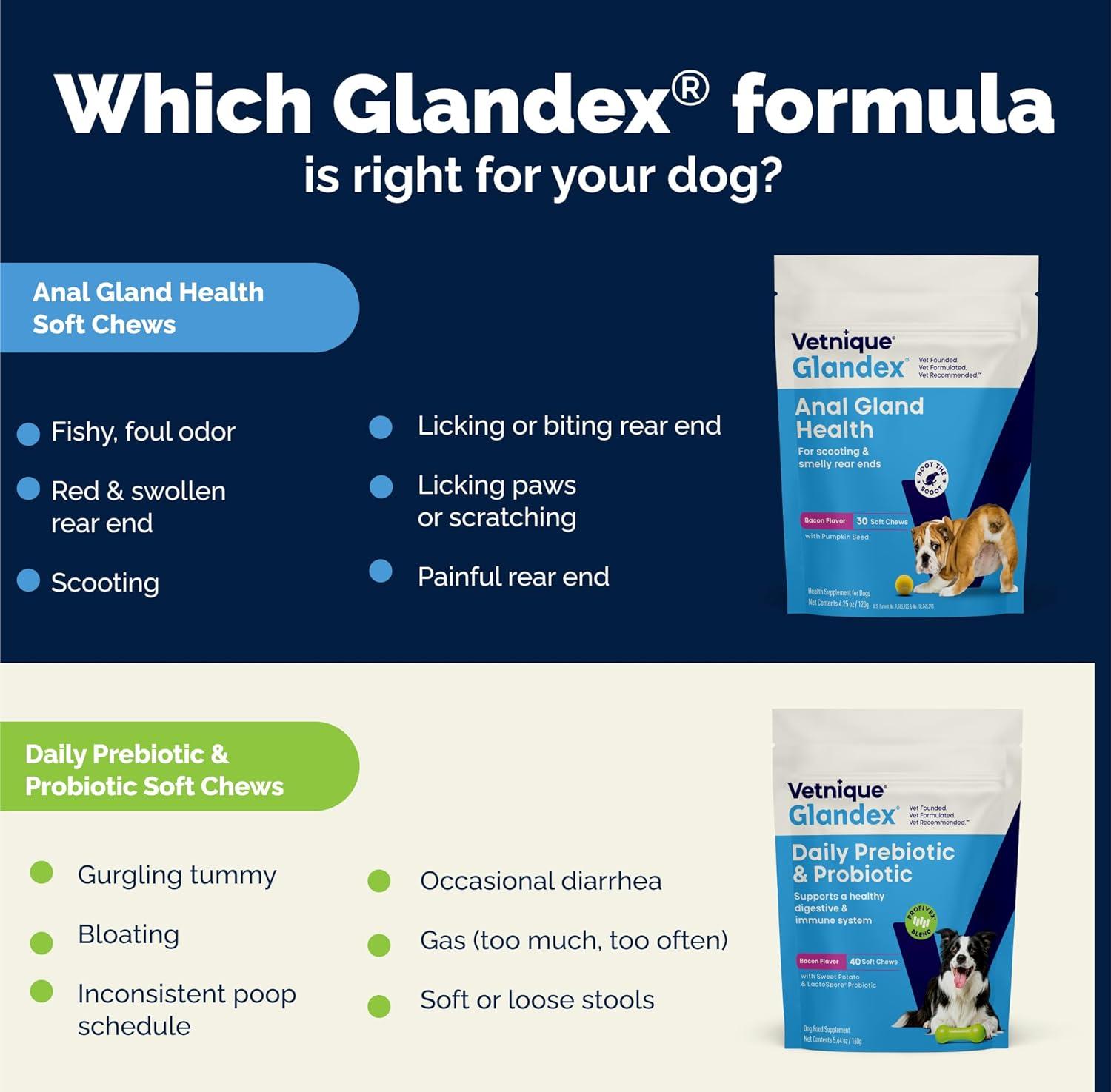imageVetnique Glandex Daily Probiotics for Dogs with Prebiotics to Support Gut Health with Fiber and Digestive Enzymes Probiotic Chews or Powders 120ct Chews Bacon ChewsPork Powder