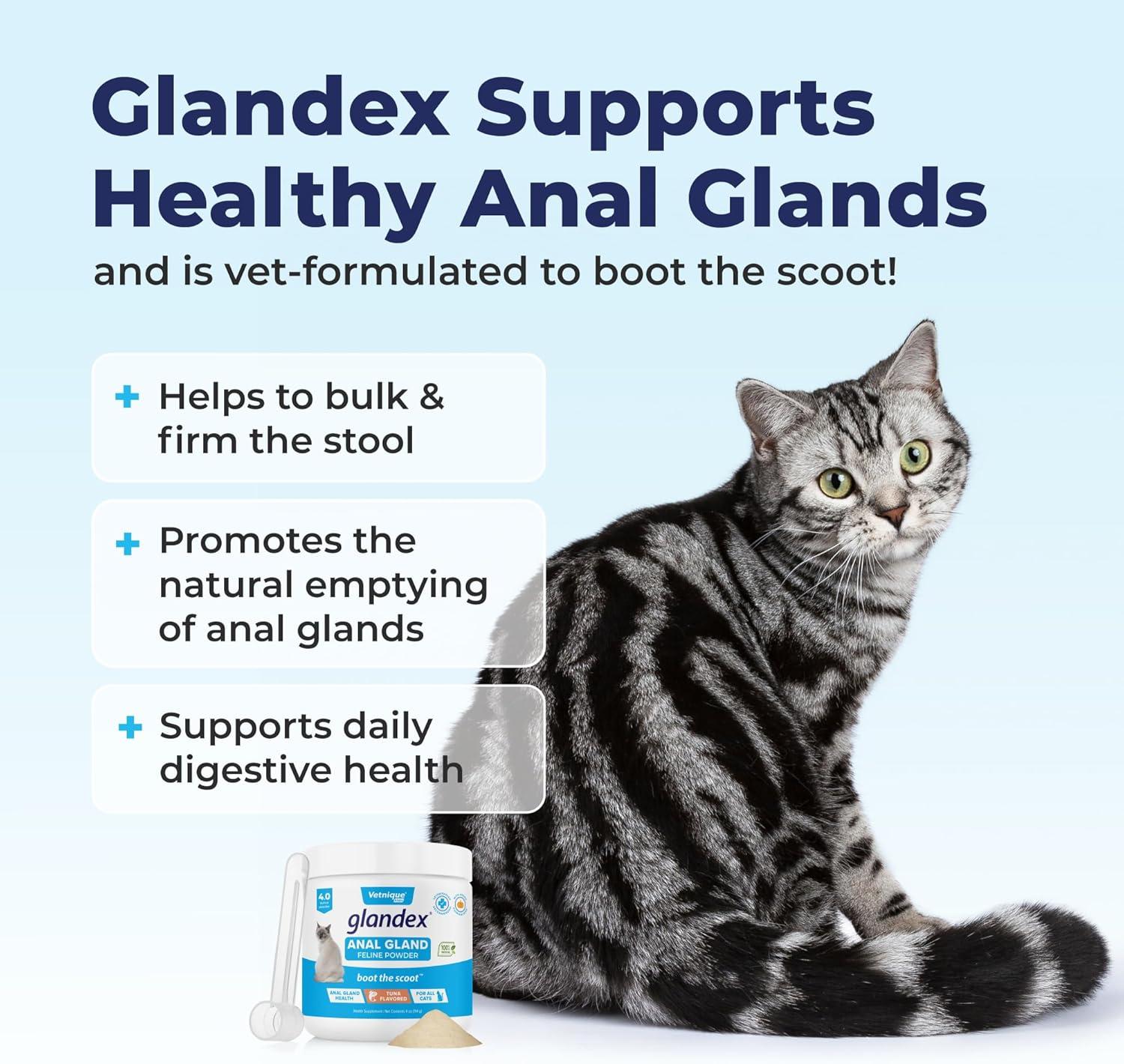 imageVetnique Glandex Feline Anal Gland or Daily Probiotic Fiber Supplement Powder for Cats with Digestive Enzyme Probiotics and Pumpkin Vet Recommended for Healthy Bowels 4oz Anal Gland Powder  TunaAnal Gland Powder  Tuna