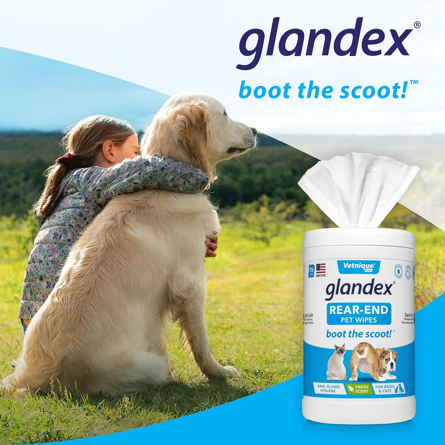 imageVetnique Glandex for Dogs 60ct Peanut Butter Anal Gland Support Chews and Glandex Pet Wipes 75ct Bundle