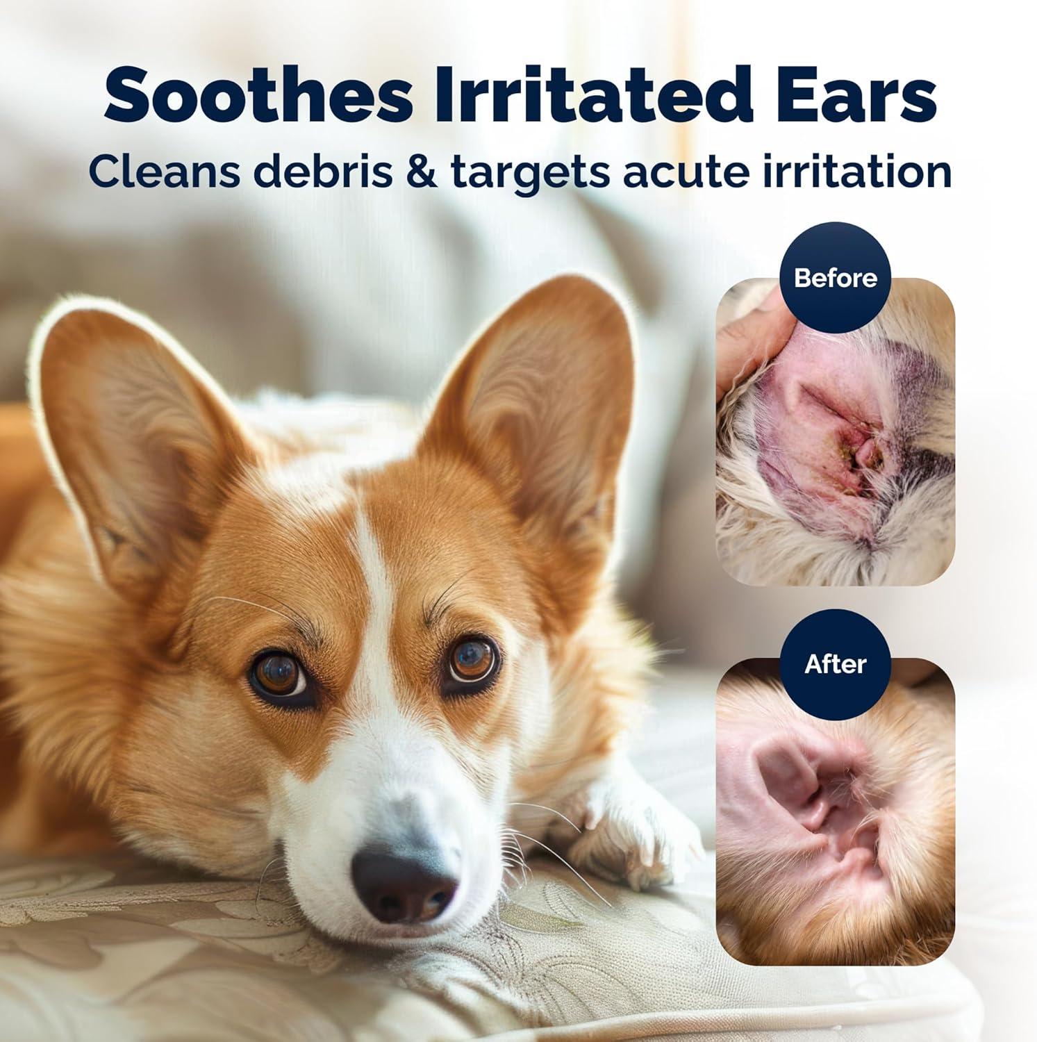 imageVetnique Oticbliss Advanced Strength Medicated Dog Ear Infection Treatment Antiseptic Ear Cleaner for Cat ampamp Dog Ear Cleaning Solution Chlorhexidine ampamp Ketoconazole 6oz Flush6oz Flush