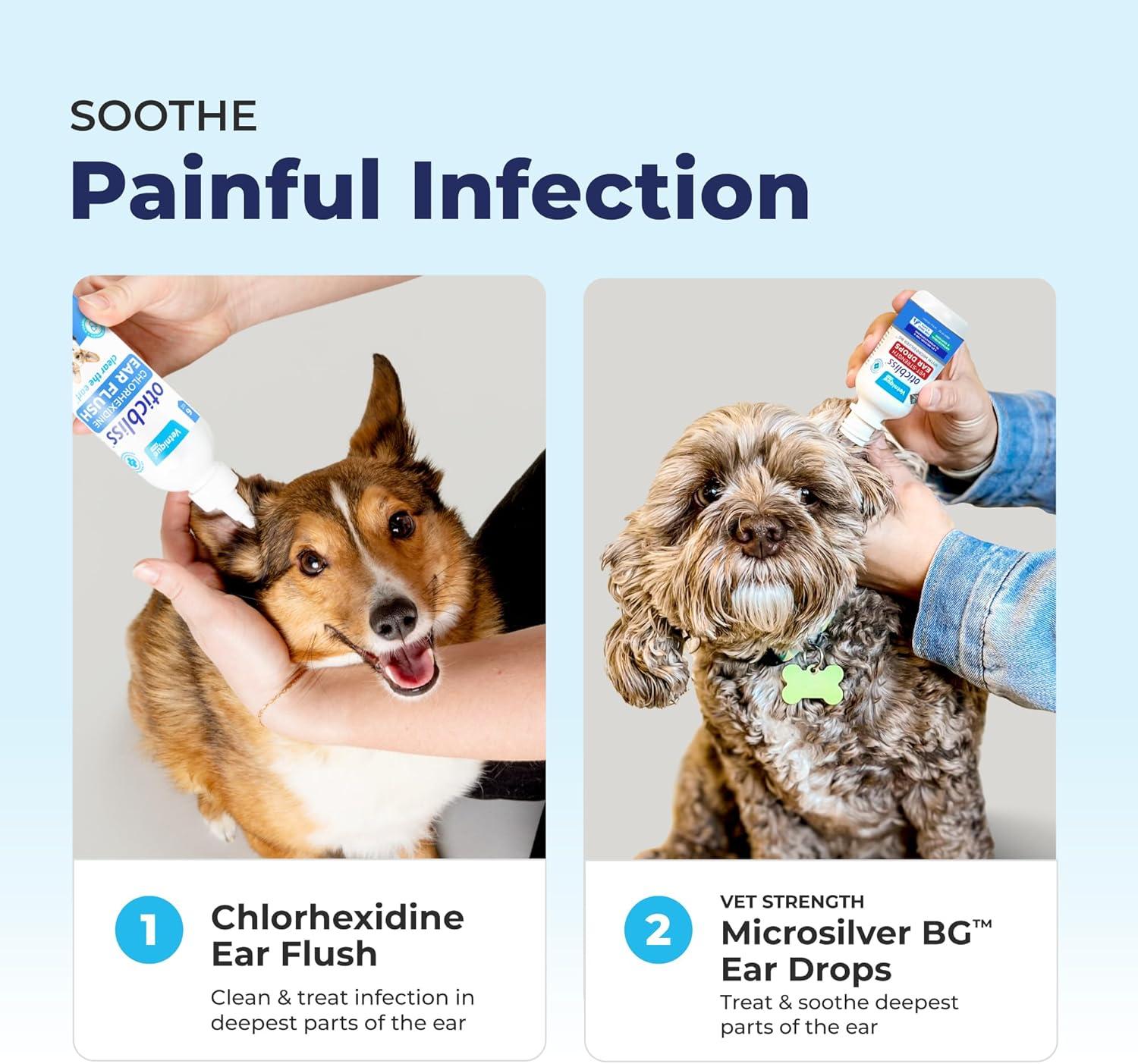 imageVetnique Oticbliss Cat ampamp Dog Ear Cleaners Medicated Dog Ear Drops for Infection Antiseptic Flush ampamp Wipes to Reduce Itchy Ears ampamp Head Shaking  Vet Recommended for Itchy Ears 8oz FlushMicroSilver Drops