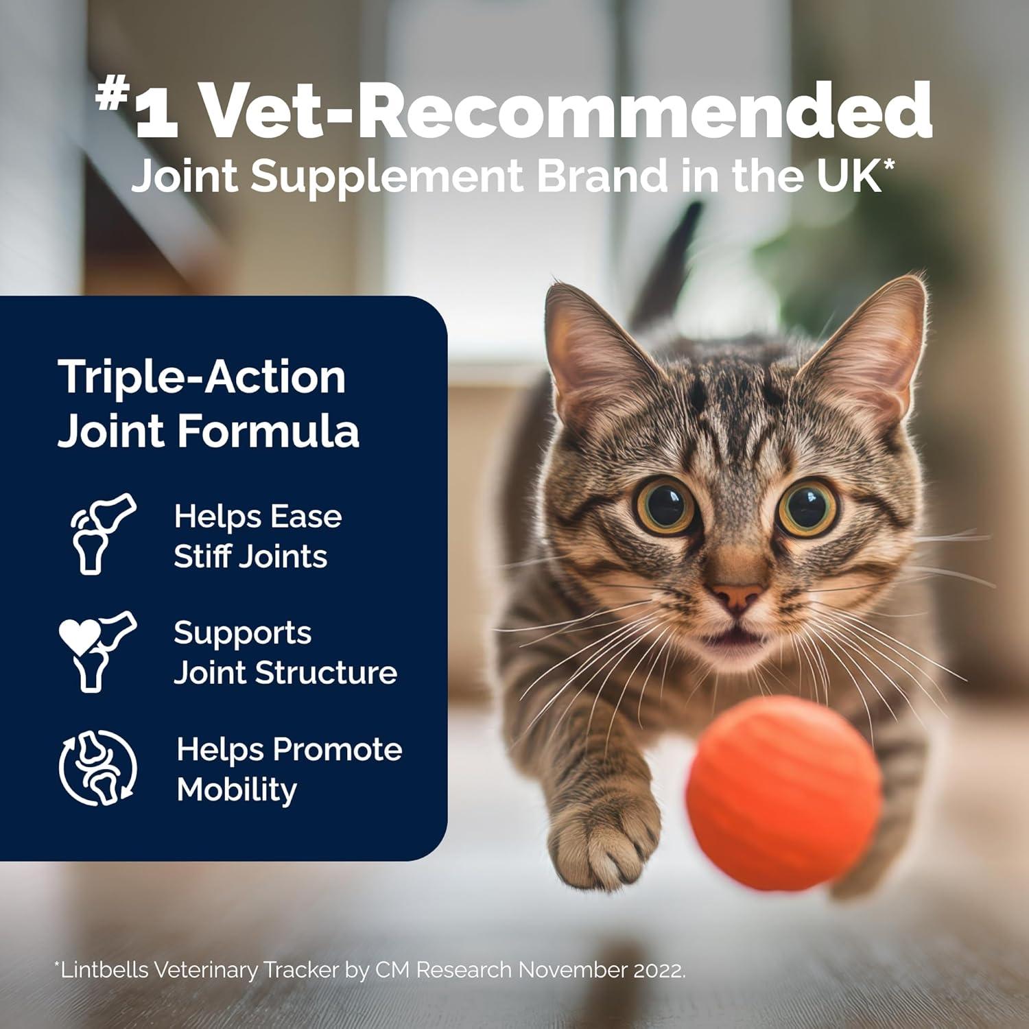 imageYuMOVE Cat Joint Supplement with GlucosamineChondroitin Omega 3 Hyaluronic Acid ampamp Green Lipped Mussel  Joint Support Supplement  for Senior Cats 60 Capsules