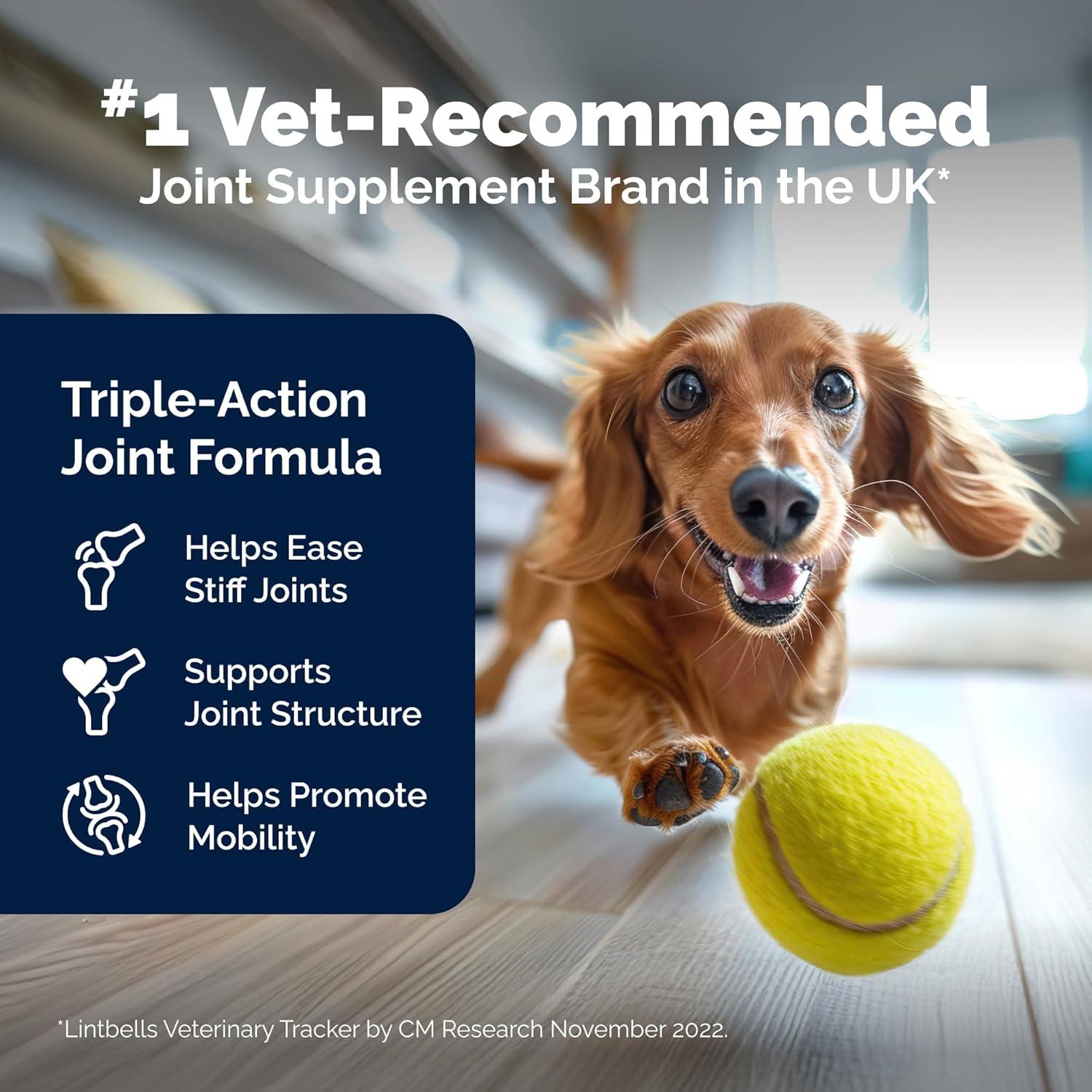 imageYumove Dog Joint Supplement Hip and Joint Supplement for Dogs with Glucosamine Chondroitin Hyaluronic Acid Green Lipped Mussel and Omega 3 Dog Hip and Joint Aches and Stiffness 150 Tasty Bites150 Bites