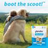 imageDermabliss Allergy Chews 30 Ct and Glandex Anal Gland Support Chews 30 Ct Bundle Dog Vitamins ampamp Supplements Anal Gland Dog Treats with Probiotics Dog Allergies Skin Treatment Soft Chew