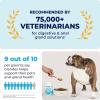 imageGlandex Dog Fiber Supplement Powder for Anal Glands with Pumpkin Digestive Enzymes ampamp Probiotics  Vet Recommended Regular or Advanced Strength  Boot The Scoot 55 oz Vegan SalmonVegan Salmon