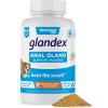 imageGlandex Dog Fiber Supplement Powder for Anal Glands with Pumpkin Digestive Enzymes ampamp Probiotics  Vet Recommended Regular or Advanced Strength  Boot The Scoot 55 oz Vegan SalmonVegan Salmon