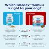 imageGlandex Dog Fiber Supplement Powder for Anal Glands with Pumpkin Digestive Enzymes ampamp Probiotics  Vet Recommended Regular or Advanced Strength  Boot The Scoot 55 oz Vegan SalmonVegan Salmon