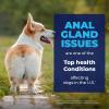 imageGlandex for Dogs Medicated Anal Gland Wipes 50ct ampamp Glandex Advanced VetStrength Anal Gland Supplement Chews 120ct Duck ampamp Bacon Flavor Bundle MaximumStrength Anal Gland Care for Dogs