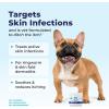 imageVetnique Dermabliss Chlorhexidine for Dogs Skin Health Antibacterial Wipes for Dogs for Infections Irritation ampamp Redness Relief Skin Wipes 50 CountSkin Wipes