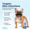 imageVetnique Dermabliss Chlorhexidine for Dogs Skin Health Antibacterial Wipes for Dogs for Infections Irritation ampamp Redness Relief Skin Wipes 50 CountMedicated Shampoo