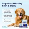 imageVetnique Dermabliss Omega ampamp Skin Health Fish Oil for Dogs Soft Chews Healthy Skin ampamp Coat for Dogs with Biotin ampamp DHA  Hickory Salmon Dog Treats 30 Count Chews30ct Chews