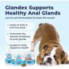 imageVetnique Glandex Anal Gland Soft Chew Treats with Pumpkin for Dogs Digestive Enzymes Probiotics Fiber Supplement for Dogs Boot The Scoot Advanced Strength DuckBacon Chews Veg 30 CountBaconPork Chews