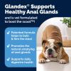 imageVetnique Glandex Anal Gland Soft Chew Treats with Pumpkin for Dogs Digestive Enzymes Probiotics Fiber Supplement for Dogs Boot The Scoot Advanced Strength DuckBacon Chews Veg 30 CountBaconPork Chews