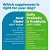 imageVetnique Glandex Daily Probiotics for Dogs with Prebiotics to Support Gut Health with Fiber and Digestive Enzymes Probiotic Chews or Powders 120ct Chews Bacon ChewsBacon Chews