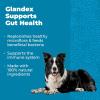 imageVetnique Glandex Daily Probiotics for Dogs with Prebiotics to Support Gut Health with Fiber and Digestive Enzymes Probiotic Chews or Powders 120ct Chews Bacon ChewsBacon Chews