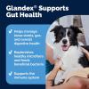 imageVetnique Glandex Daily Probiotics for Dogs with Prebiotics to Support Gut Health with Fiber and Digestive Enzymes Probiotic Chews or Powders 120ct Chews Bacon ChewsPork Powder