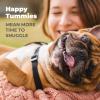imageVetnique Glandex Daily Probiotics for Dogs with Prebiotics to Support Gut Health with Fiber and Digestive Enzymes Probiotic Chews or Powders 120ct Chews Bacon ChewsBacon Chews