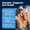 imageVetnique Glandex Feline Anal Gland or Daily Probiotic Fiber Supplement Powder for Cats with Digestive Enzyme Probiotics and Pumpkin Vet Recommended for Healthy Bowels 4oz Anal Gland Powder  TunaProbiotic Powder  Tuna