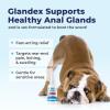 imageVetnique Glandex Medicated Dog Butt Wipes or Spray for Dog Scooting  Topical Anti Itch Skin Relief for Soothing Inflamed Anal Glands in Dogs ampamp Cats  Fast Acting Formula 50ct 50ct Wipes4oz Spray