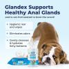 imageVetnique Labs Glandex Dog Wipes for Pets Cleansing ampamp Deodorizing Anal Gland Hygienic Dog ampamp Cat Wipes with Vitamin E Skin Conditioners and Aloe 75ct75ct Canister