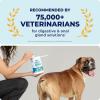 imageVetnique Labs Glandex Dog Wipes for Pets Cleansing ampamp Deodorizing Anal Gland Hygienic Dog ampamp Cat Wipes with Vitamin E Skin Conditioners and Aloe 75ct100ct Pouch