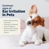 imageVetnique Oticbliss Advanced Strength Medicated Dog Ear Infection Treatment Antiseptic Ear Cleaner for Cat ampamp Dog Ear Cleaning Solution Chlorhexidine ampamp Ketoconazole 6oz Flush6oz Flush