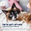 imageYuMOVE Cat Joint Supplement with GlucosamineChondroitin Omega 3 Hyaluronic Acid ampamp Green Lipped Mussel  Joint Support Supplement  for Senior Cats 60 Capsules